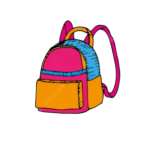 School Bags And Accessories