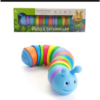 Rainbow Twisting Caterpillar Toy